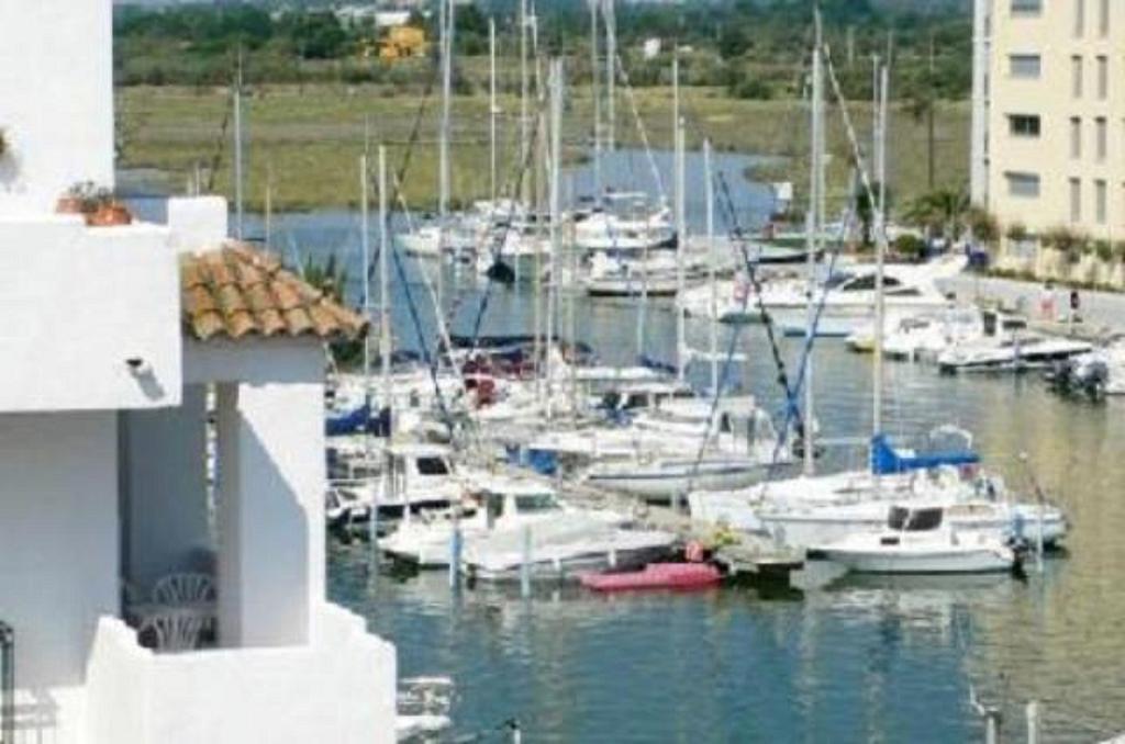 B. Marine Holidays * Roses